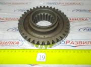 Шестерня ведущая постоянного зацепления первичного вала ДТ-75 Z=37 77.37.184