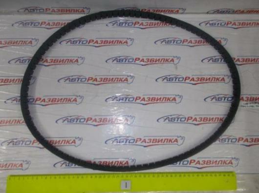 Ремень 19х12,5-1450 FUJI зубчатый