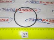 Колпак автомобильной лампы W 13 ООО Авто-Химическая Компания